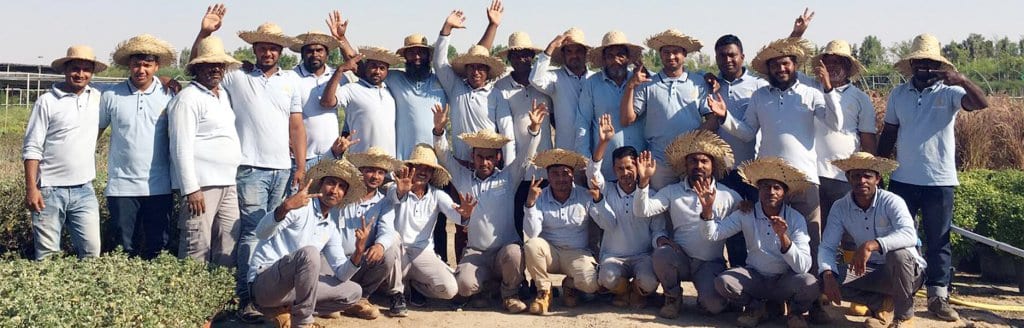 Plant nursery staff