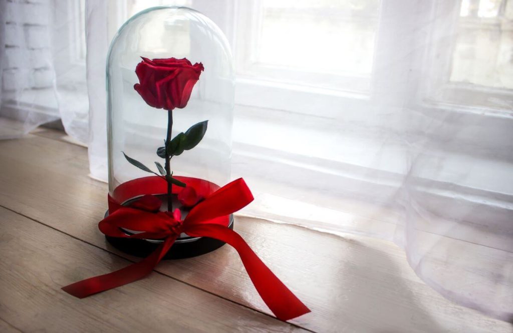 long lasting preserved red rose