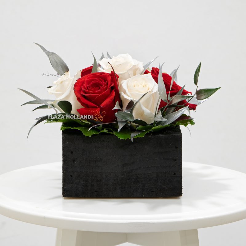 maroon and white roses in a black box