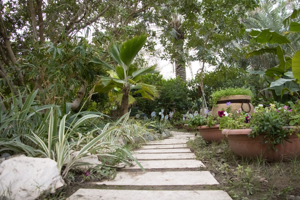 Path in a garden filled with stones from Qatar