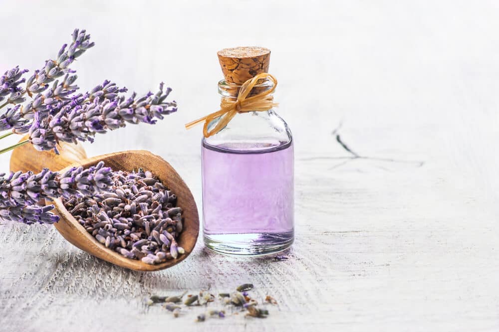 lavender oil