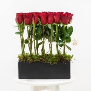 red roses in a black box