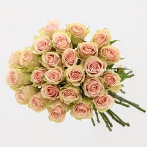 25 light pink roses in a bouquet