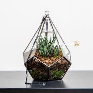 Metal and glass hanging terrarium