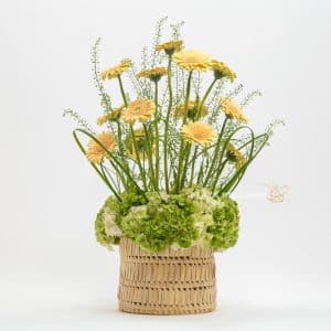 Yellow Gerbera Arrangement