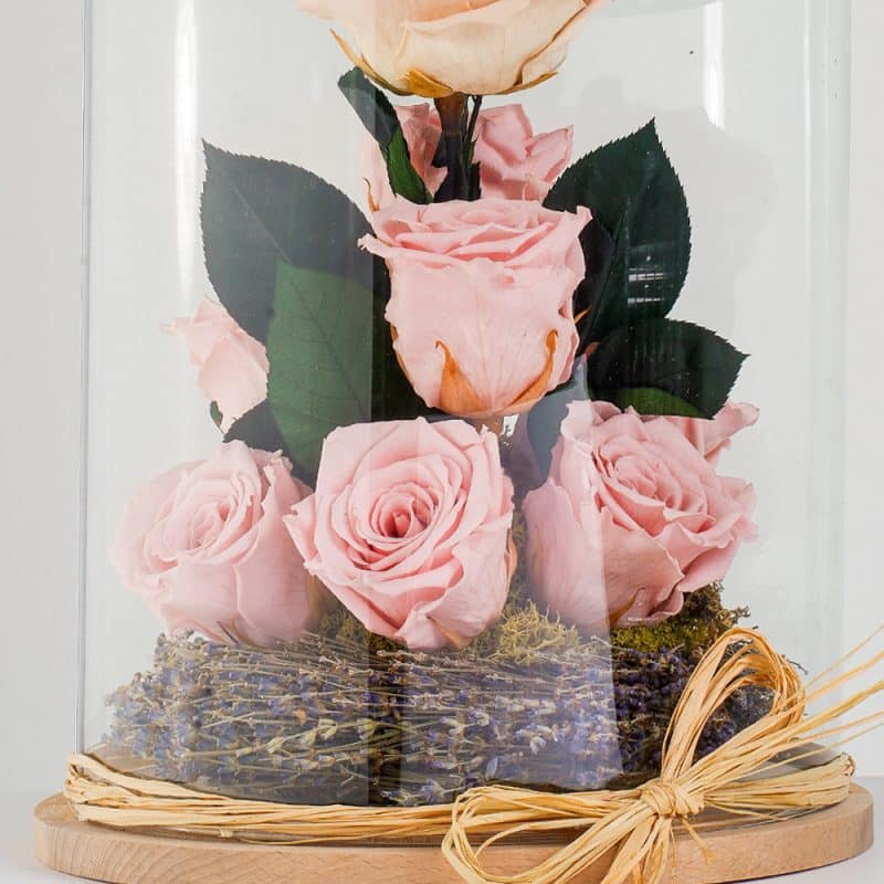 Preserved Flower Gift, Light Pink Roses In Glass Dome, Eternal Forever