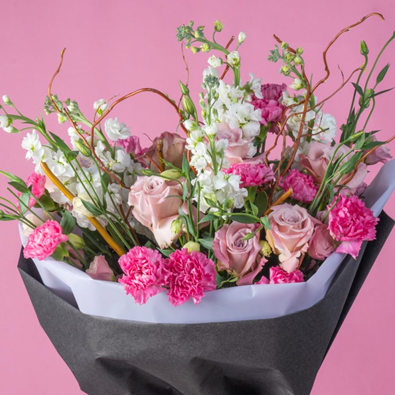 Carnesia Eustoma Rose Splendid Elegance