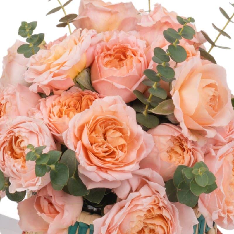 Peach Spray Roses Basket