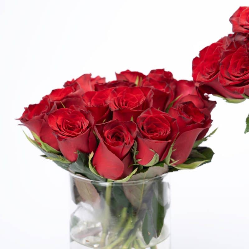 40 Red Roses with Glass Vase