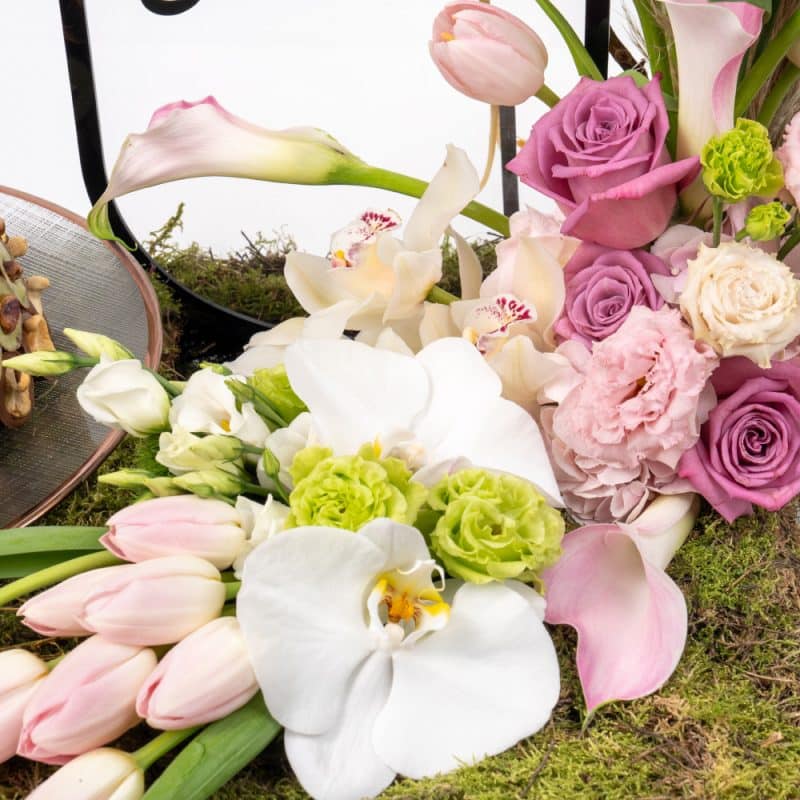 Pink Gerbera and Tulip Celebration with Nuts and Chocolates