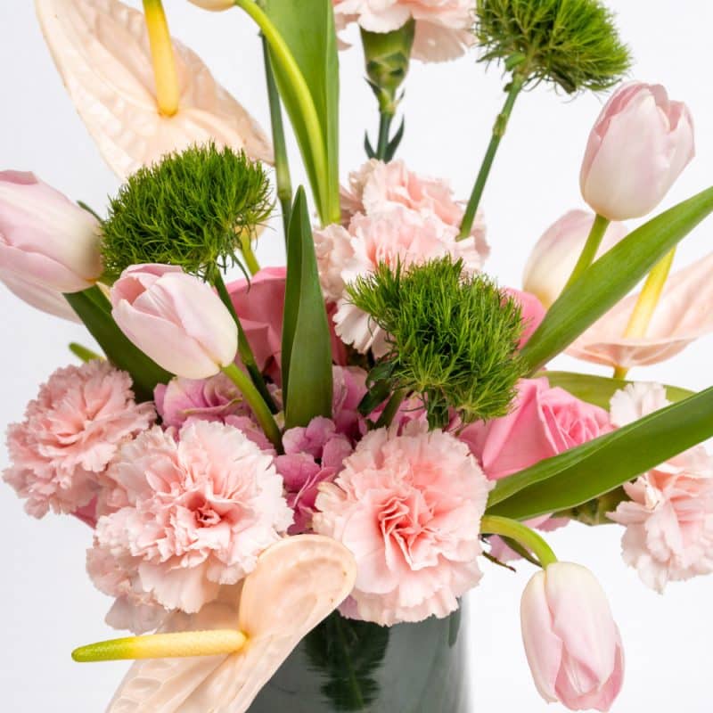 Baby Girl: Tulips with Crunchy Filled Chocolates