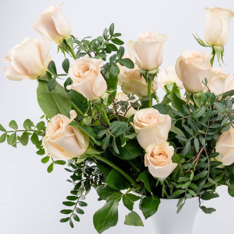 Peach Roses in White Glass Vase