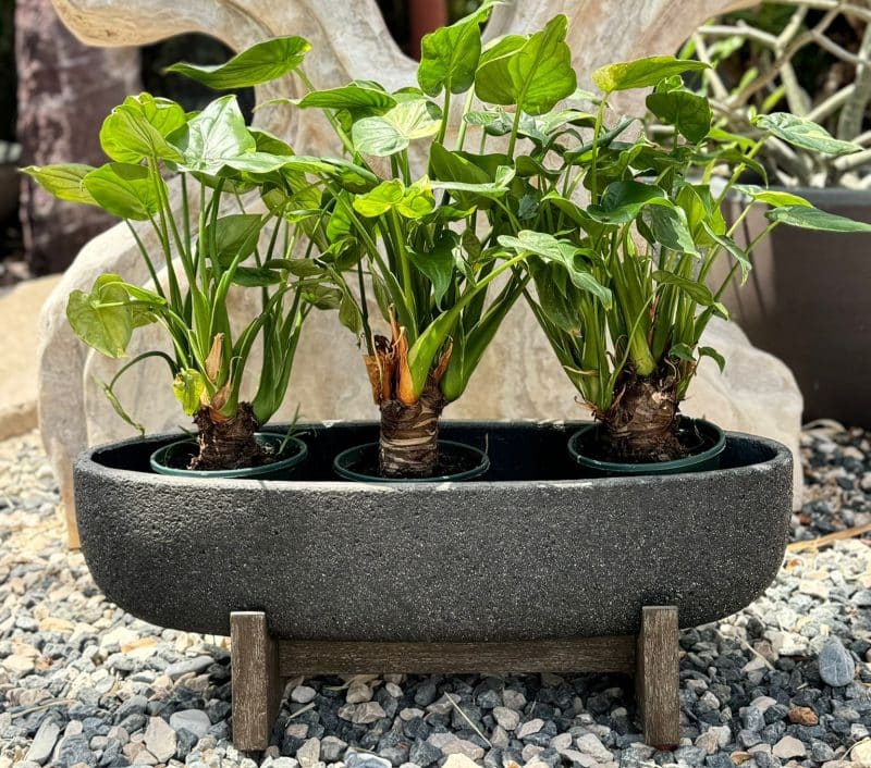 Vaster Oval Planters.