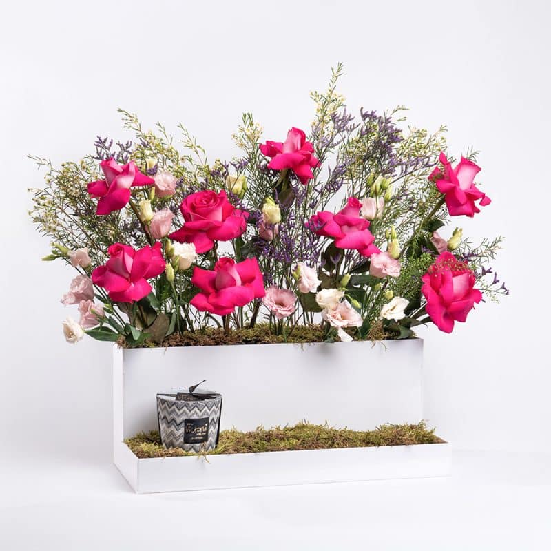 Radiant Rose and Wax Flower Arrangement