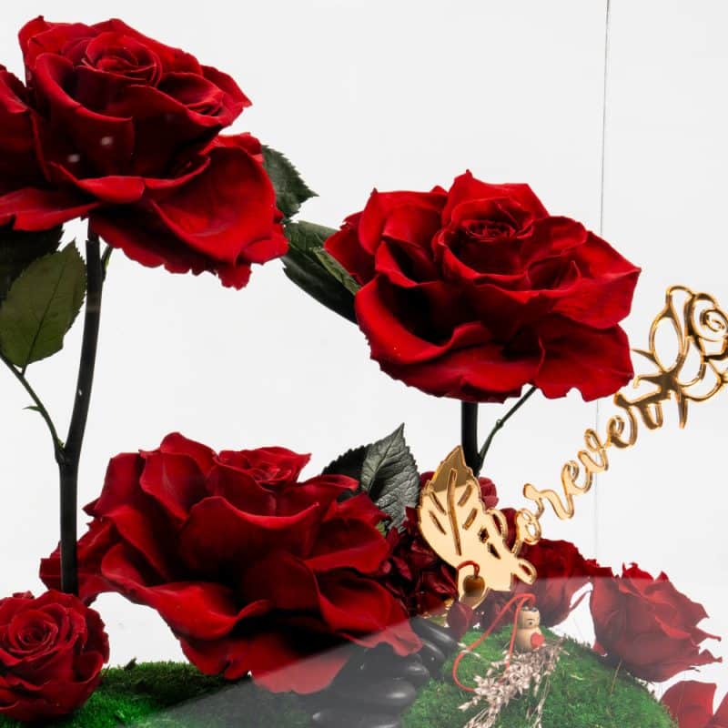 Infinite Red Rose Treasure