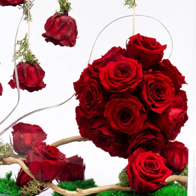 Floating Red Rose Elegance