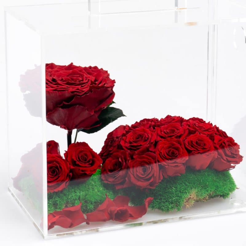 Red Roses Eternity Moss Box