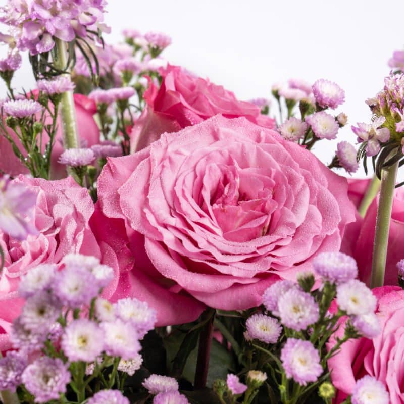 Rose, Aster and Scabiosa Bliss