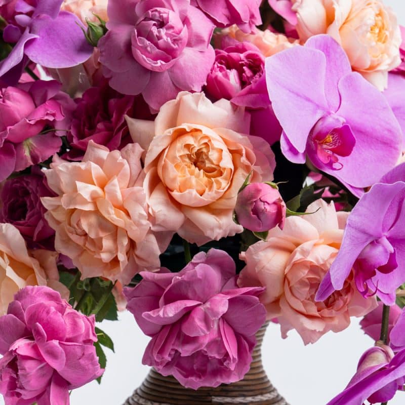 Orchid & Baby Rose in a Pot