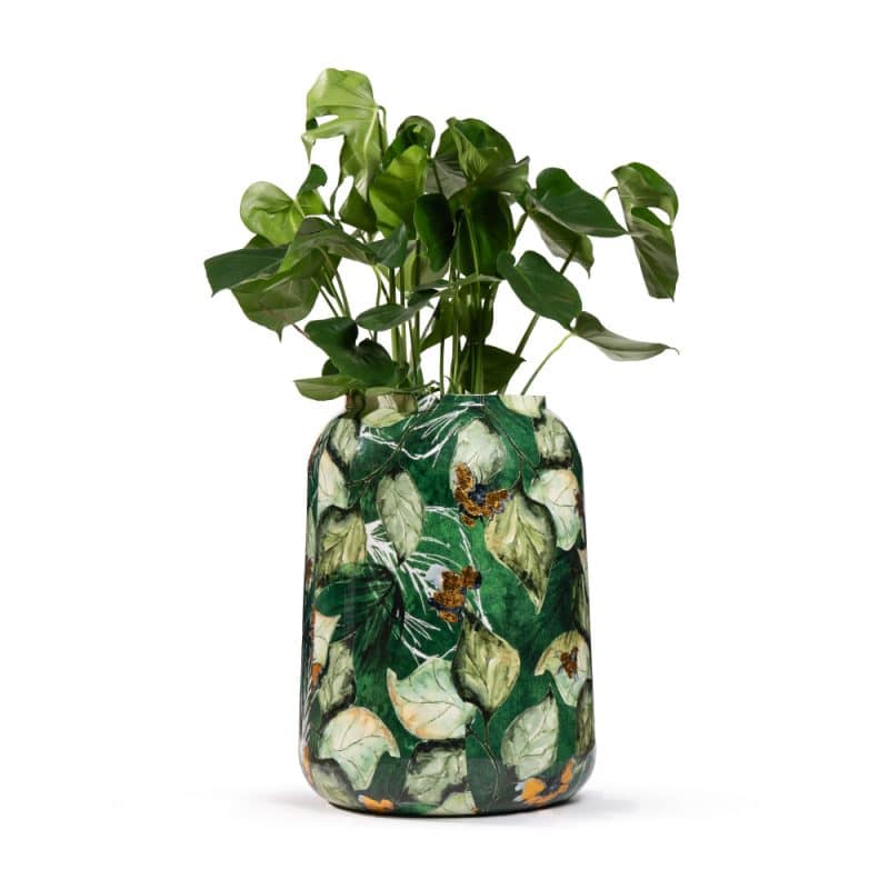 Monstera in Verdant Pot