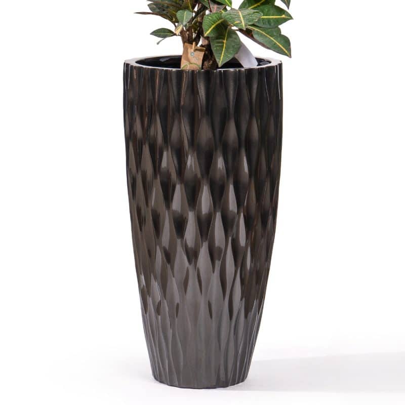 Croton in Artful Pot