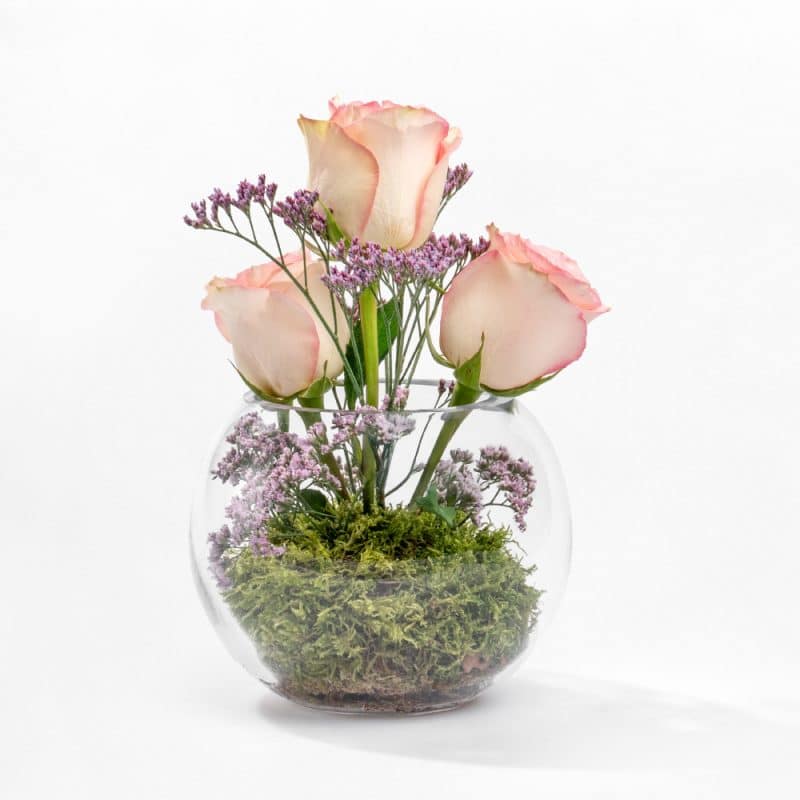 Pink Rose Terrarium