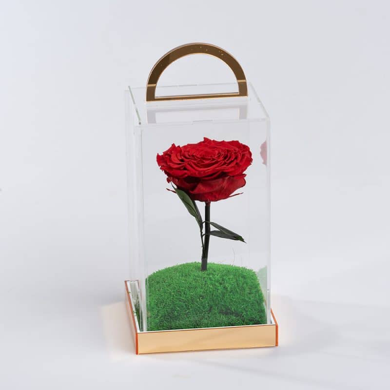 Preserved red roses in a luxurious box