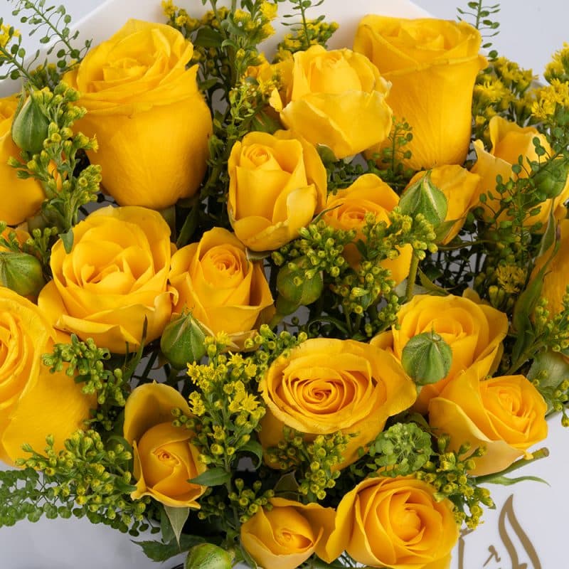 Yellow Rose Delight