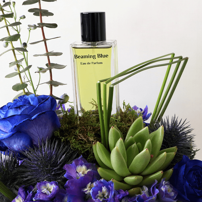 Beaming Blue 3_2 Close up of beaming blue perfume and succulents with blue rose