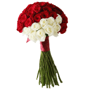 red and white roses in a bouquet