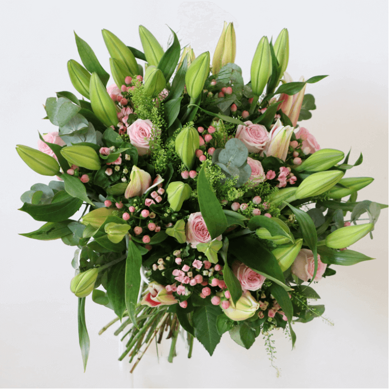 Anna Belle Anna Belle