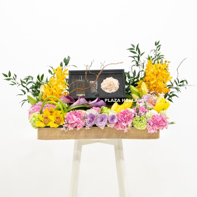 perfume & long lasting rose FLOWERS PLAZA HOLLANDI