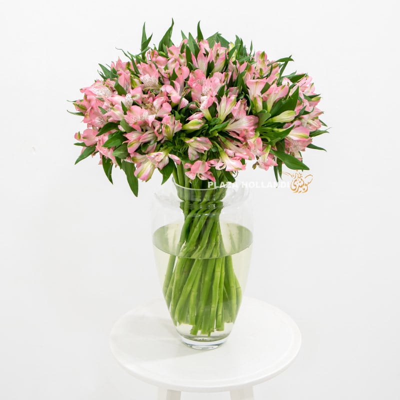 3.2 Pink Alstroemeria flowers in a glass vase