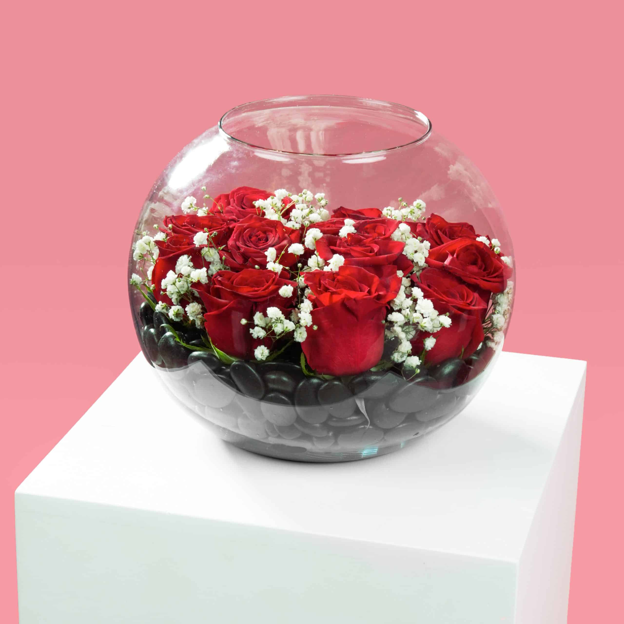 2.2jpg 2.2jpg 1 scaled