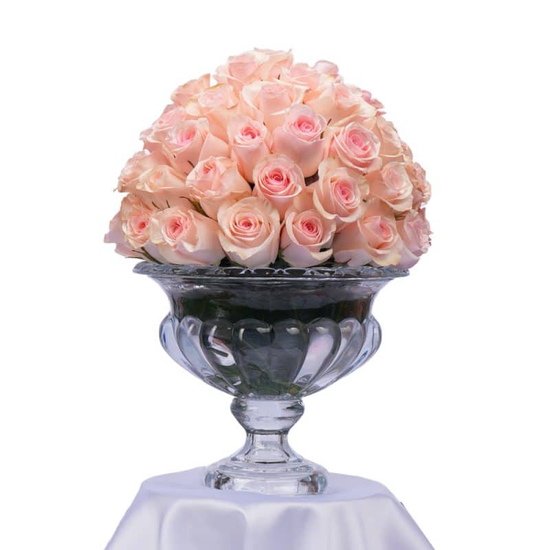 Elegant 60 Roses Bloom