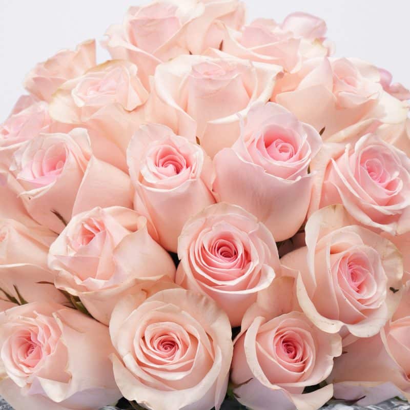 Elegant 60 Roses Bloom