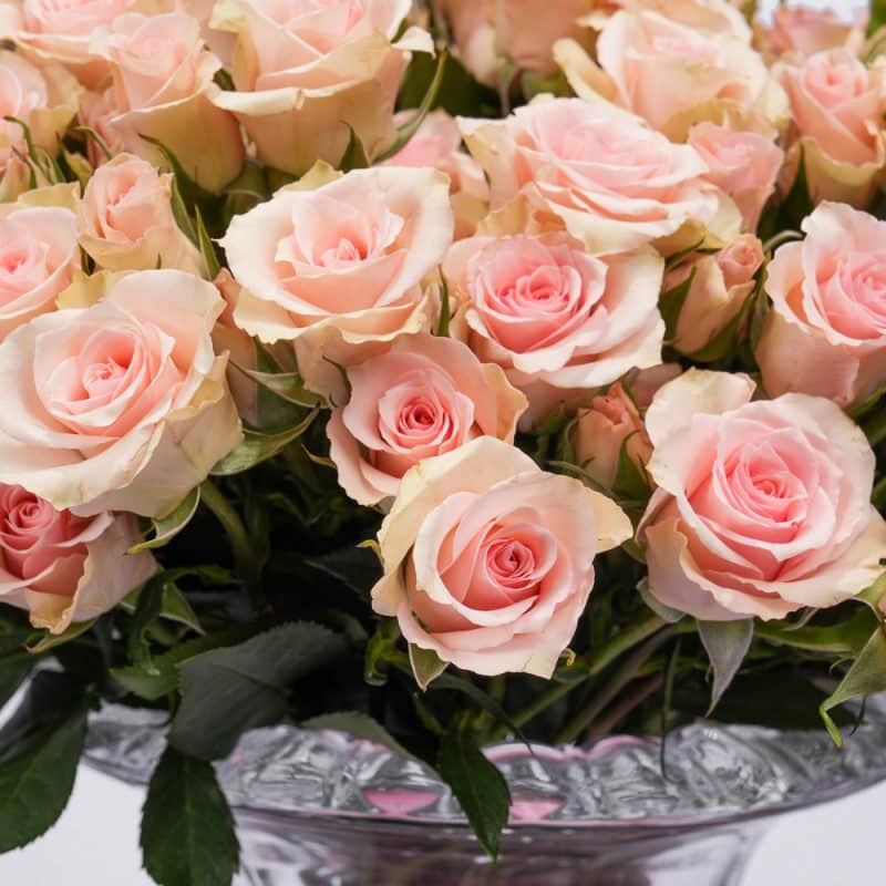 Pink Baby Roses in Elegant Glass Vase