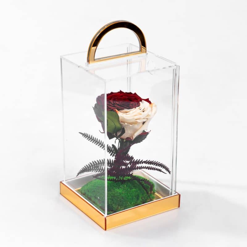 Qatar National Day - Preserved Rose Flag in a luxurious box