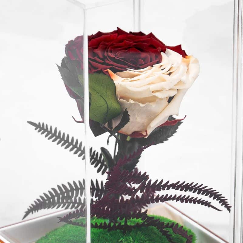 Qatar National Day - Preserved Rose Flag in a luxurious box