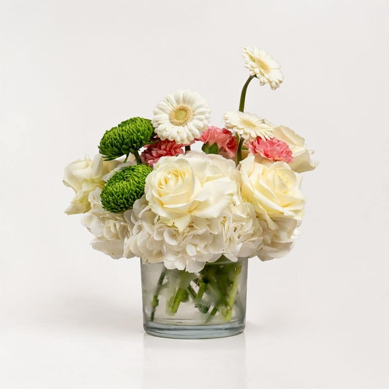 Pure Tranquility White Hydrangeas and Green Chrysanthemums in Vase