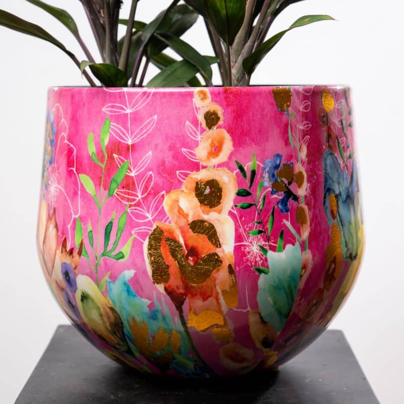 Cordyline Rumba in Pink Flowers Pattern Steel Pot