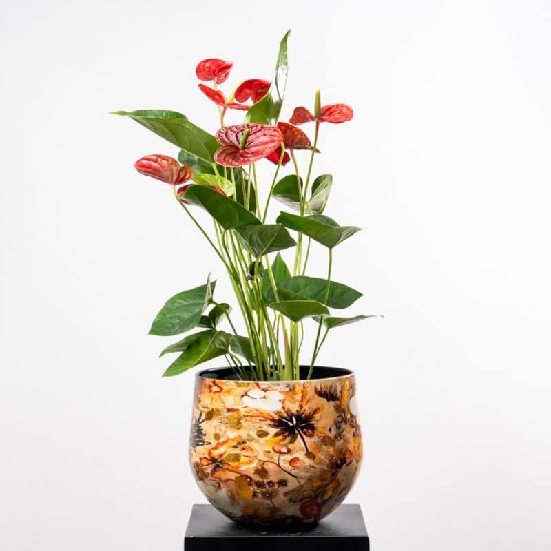 Anthurium Elegance in Flowers Pattern Steel Pot