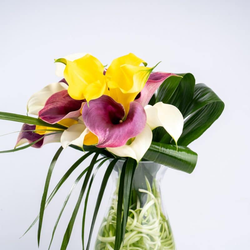 Modern Greenery Mix - Aspidistra Leaves & Calla Lily