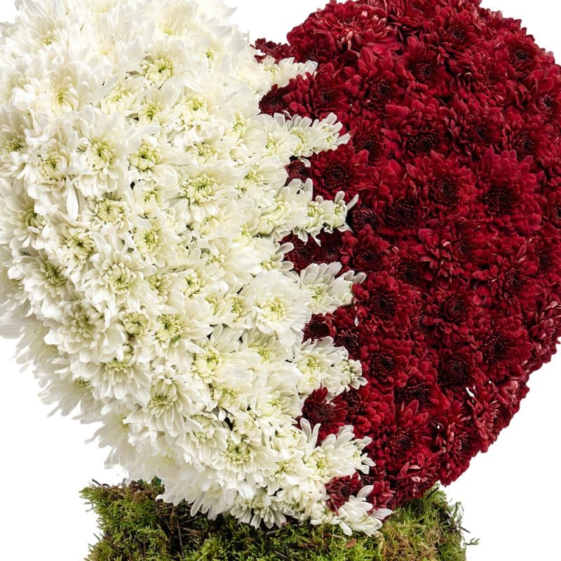 Qatar National Day - Heart Shape Flag Arrangement