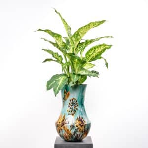 Dieffenbachia in Metal Pot - 85 cm