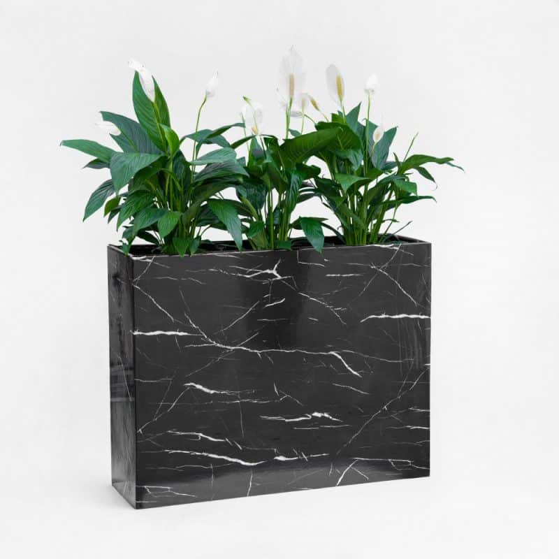 Spathiphyllum (Peace Lily) MDF Rectangular Planter with 3D Foam Sticker