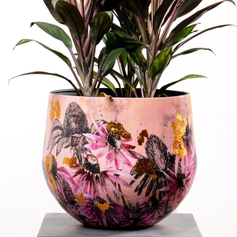 Cordyline in Metal Pot - Height 60 cm