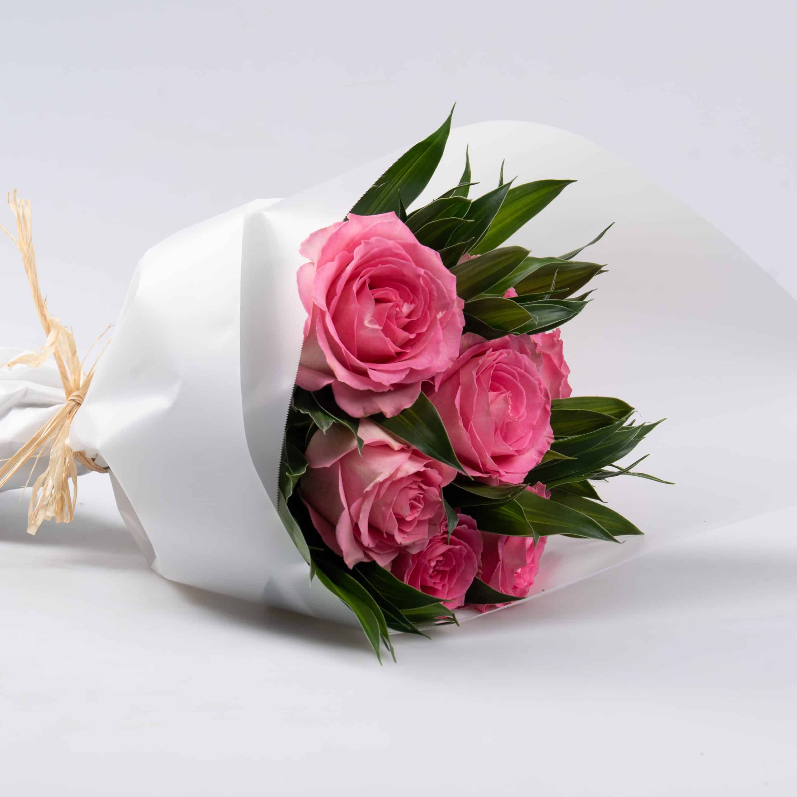 12.2-scaled-1.jpg 12.2 scaled 1