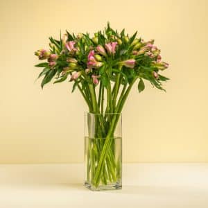 Home 24 Pink Elegance - Alstormeriya